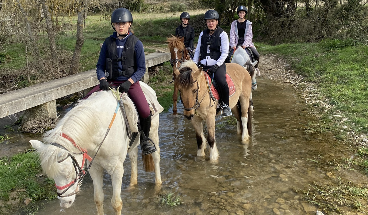 Randonnées à cheval Gard